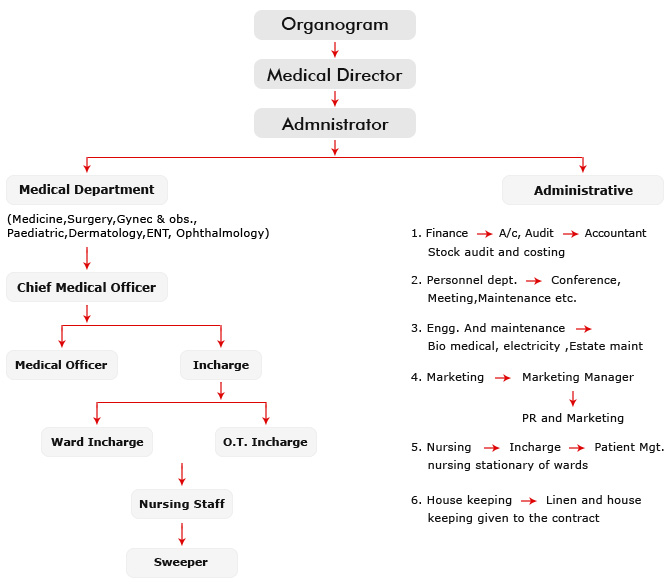 management hierarchy
